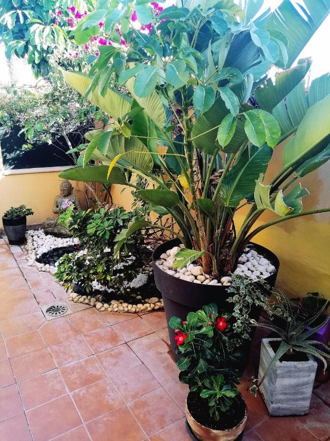 Vivienda Vacacional Vaiana Las Rosas  Buitenkant foto